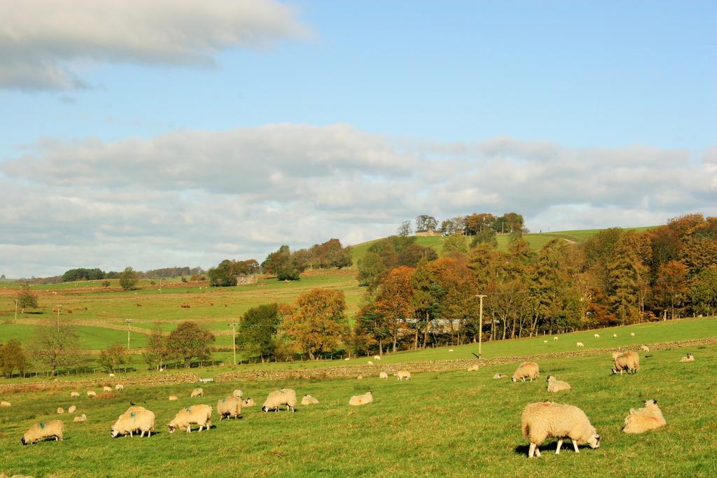 Grisdale View Villa Penrith Exteriör bild
