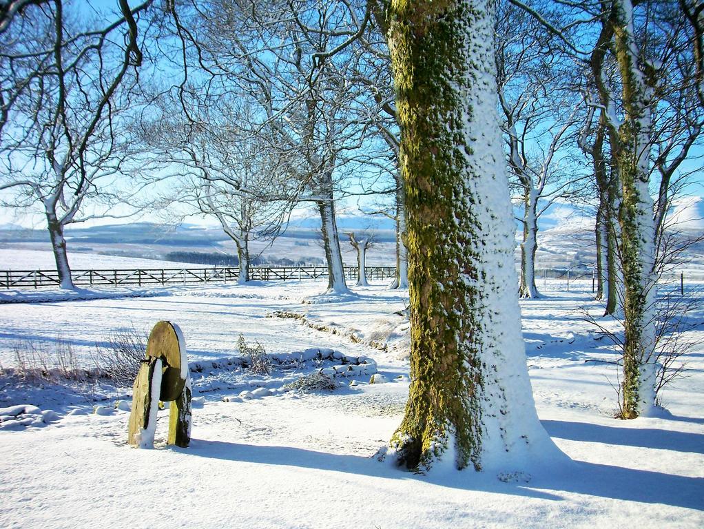 Grisdale View Villa Penrith Exteriör bild